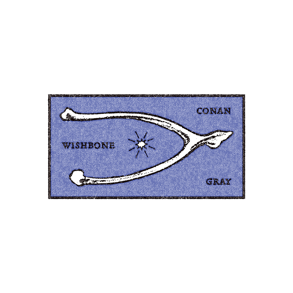 Wishbone Navy Hoodie